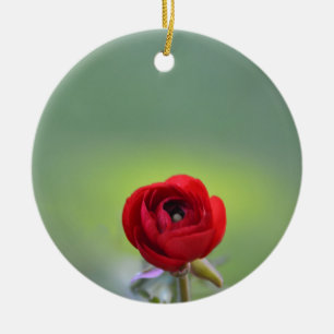 Red Ranunculus Blossom Ceramic Ornament