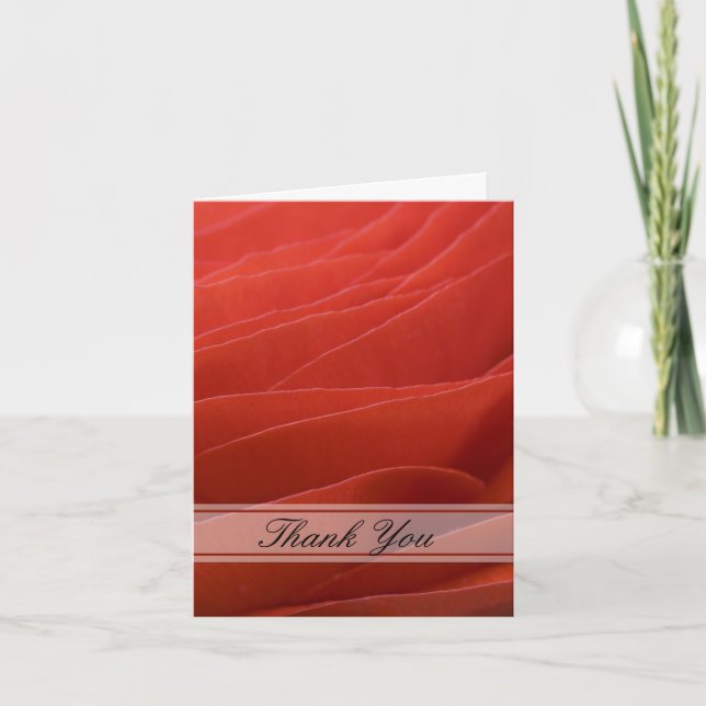 Red Ranunculus Bridesmaid Merci (Devant)