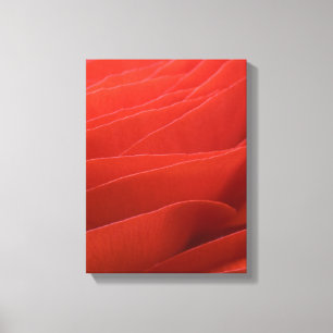 Red Ranunculus Flower Petals Canvas Print