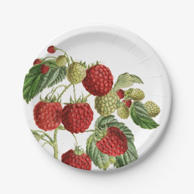 Red Raspberry Botanical Design Paper Plates (Front)