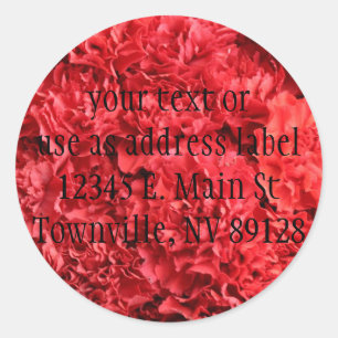 Red Red Carnations Classic Round Sticker
