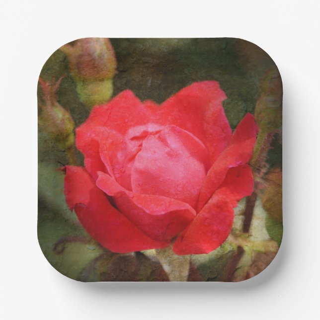 Red, Red Rose  Paper Plate (Front)