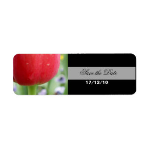 Red Red Tulip