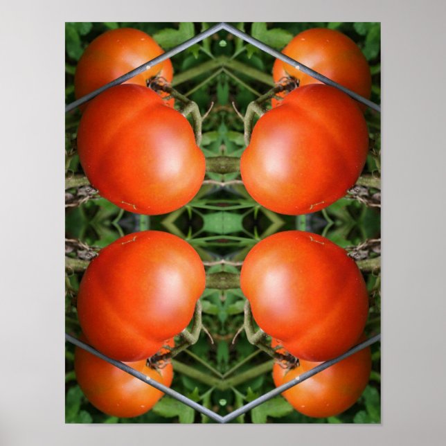 Red Ripe Garden Tomatoes On The Vine Abstract  Poster (Front)