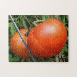 Red Ripe Garden Tomatoes On The Vine Nature  Jigsaw Puzzle