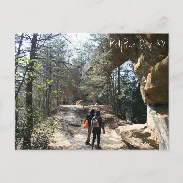 Red River Gorge, KY - Carte postale Skybridge (Devant)
