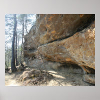 Red River Gorge, KY - Skybridge 2 poster