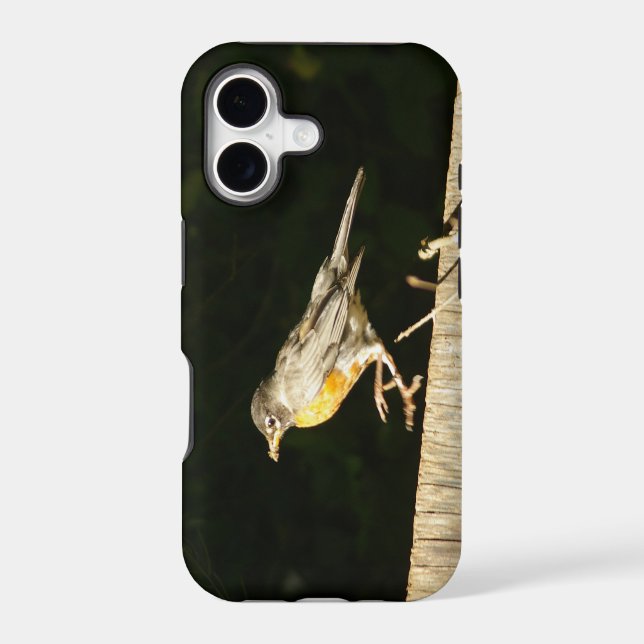 Red Robin (Back)