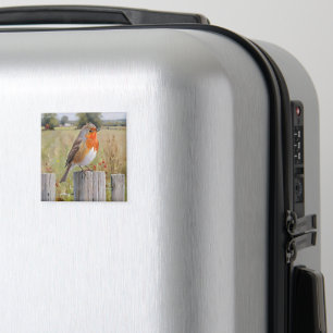 Red Robin Art Design Magnet