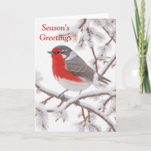 Red Robin Bird in Snow Holiday Card