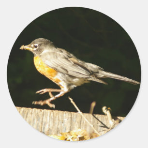 Red Robin Bobbin Classic Round Sticker
