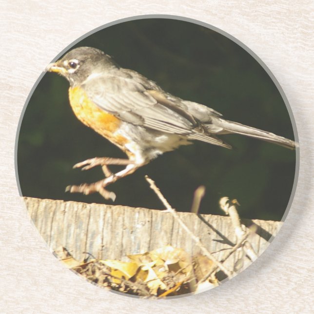 Red Robin Bobbin Coaster (Front)