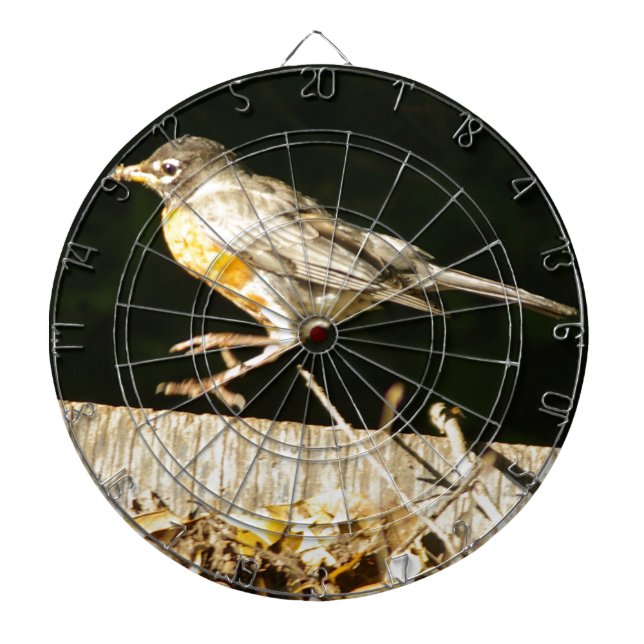 Red Robin Bobbin Dartboard (Front)