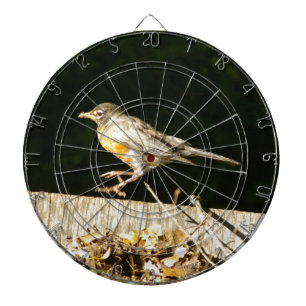 Red Robin Bobbin Dartboard