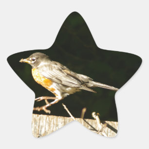 Red Robin Bobbin Star Sticker