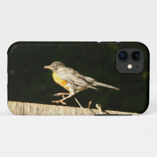 Red Robin iPhone 11 Case