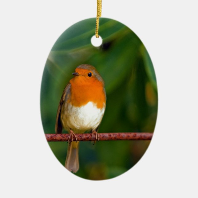 Red ROBIN Ceramic Ornament (Front)