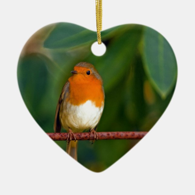 Red ROBIN Ceramic Ornament (Front)
