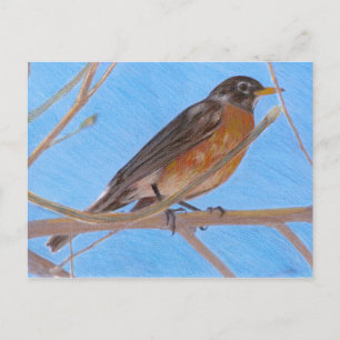 Red Robin Fine Art Nature Postcard