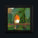 Red ROBIN Gift Box<br><div class="desc">Stunning red Robin bird photo gifts,  accessories and decor. Red Robin is a beautiful bird which we enjoy seeing most in winter months with it's sharp red breast feathers contrasting against the White snow. This red Robin is perched on a branch against a clear blue sky.</div>
