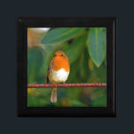 Red ROBIN Gift Box<br><div class="desc">Stunning red Robin bird photo gifts, accessories and decor. Red Robin is a beautiful bird which we enjoy seeing most in winter months with it's sharp red breast feathers contrasting against the White snow. This red Robin is perched on a branch against a clear blue sky.</div>