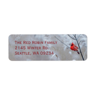 Red Robin in the Snow Christmas