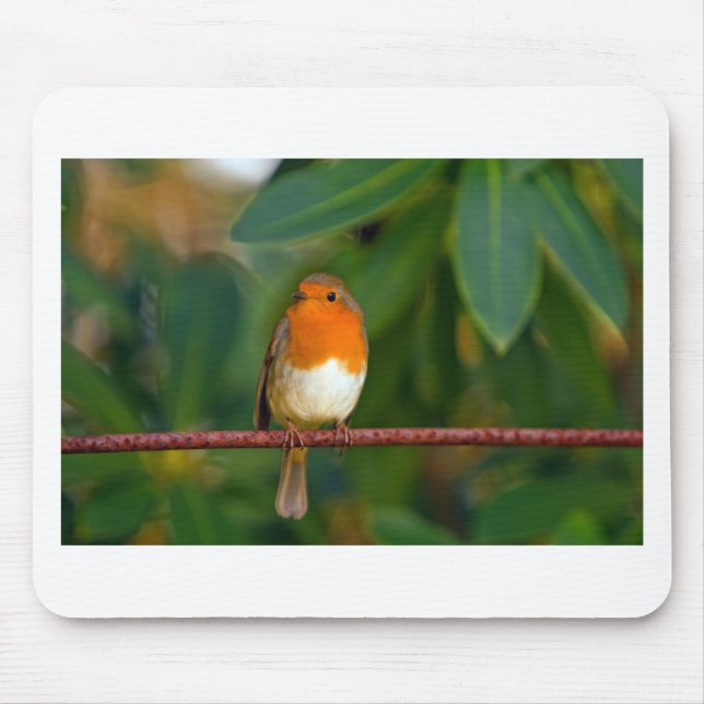 Red ROBIN Mouse Pad (Front)