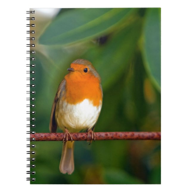 Red ROBIN Notebook (Front)