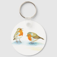 Red Robins in Winter