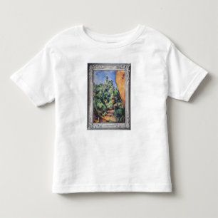Red rock, c.1895 toddler t-shirt