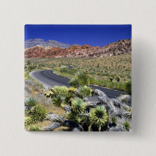Red Rock Canyon National Conservation Area, Las 2 Inch Square Button