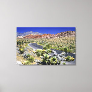 Red Rock Canyon National Conservation Area, Las Canvas Print