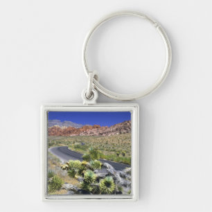 Red Rock Canyon National Conservation Area, Las Keychain