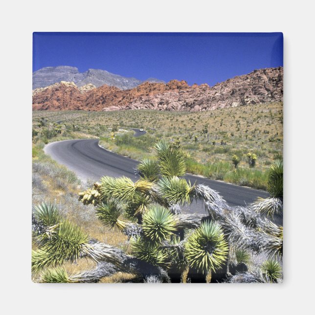 Red Rock Canyon National Conservation Area, Las Magnet (Front)