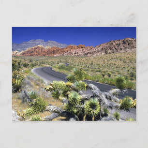 Red Rock Canyon National Conservation Area, Las Postcard
