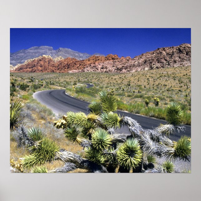 Red Rock Canyon National Conservation Area, Las Poster (Front)