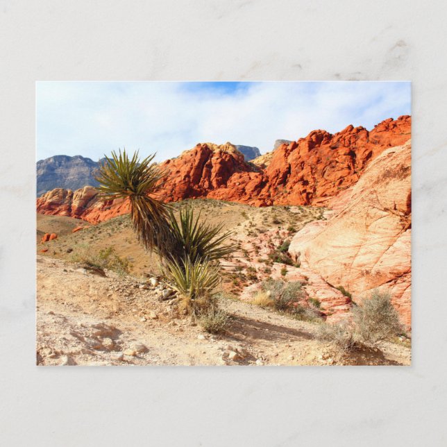 Red Rock Canyon Spring Mountains Nevada Postcard (Front)