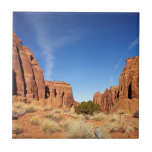 Red Rock Canyon Tile