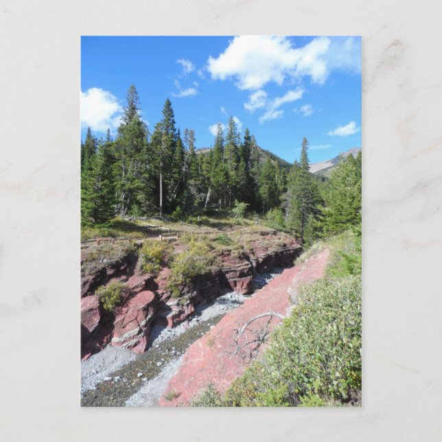 Red Rock Canyon- Waterton Lakes National Park Postcard (Front)