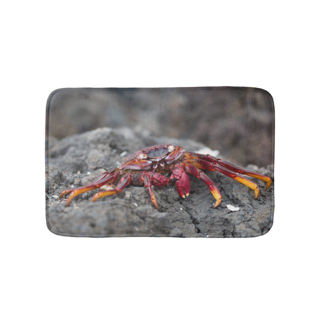 Red rock crab bath mat (Front)