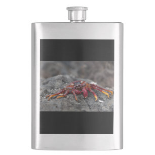 Red rock crab hip flask