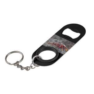 Red rock crab keychain bottle opener