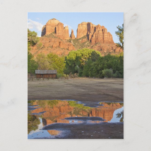 Red Rock Crossing, Sedona Arizona carte postale (Devant)