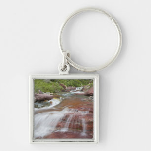 Red rock in Baring Creek in Glacier National Keychain