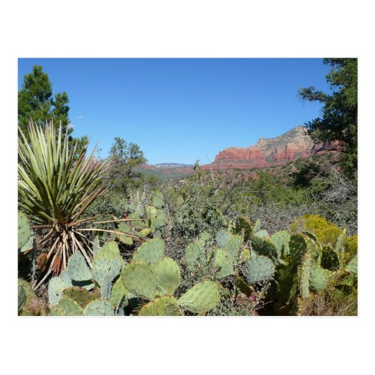 Red Rocks and Cacti I Postcard