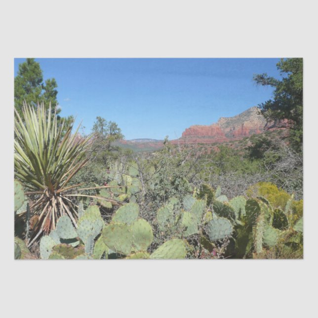 Red Rocks and Cacti I Tissue Paper (Front)