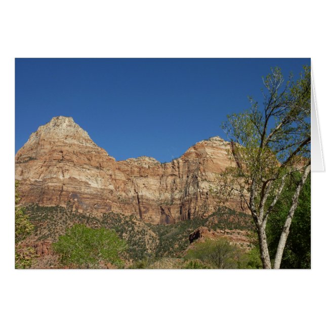 Red Rocks at Zion National Park Photography (Front Horizontal)