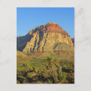 Red Rocks, Las Vegas Landscape Postcard