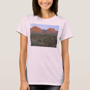 Red Rocks Right At Sunrise T-Shirt