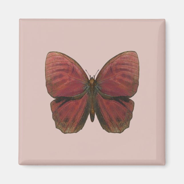 Red Rooster Butterfly Magnet (Front)